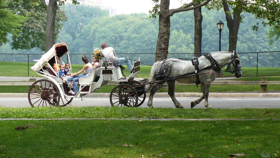 A horse-drawn carriage in Central Park in an archive photograph from 5 July 2007