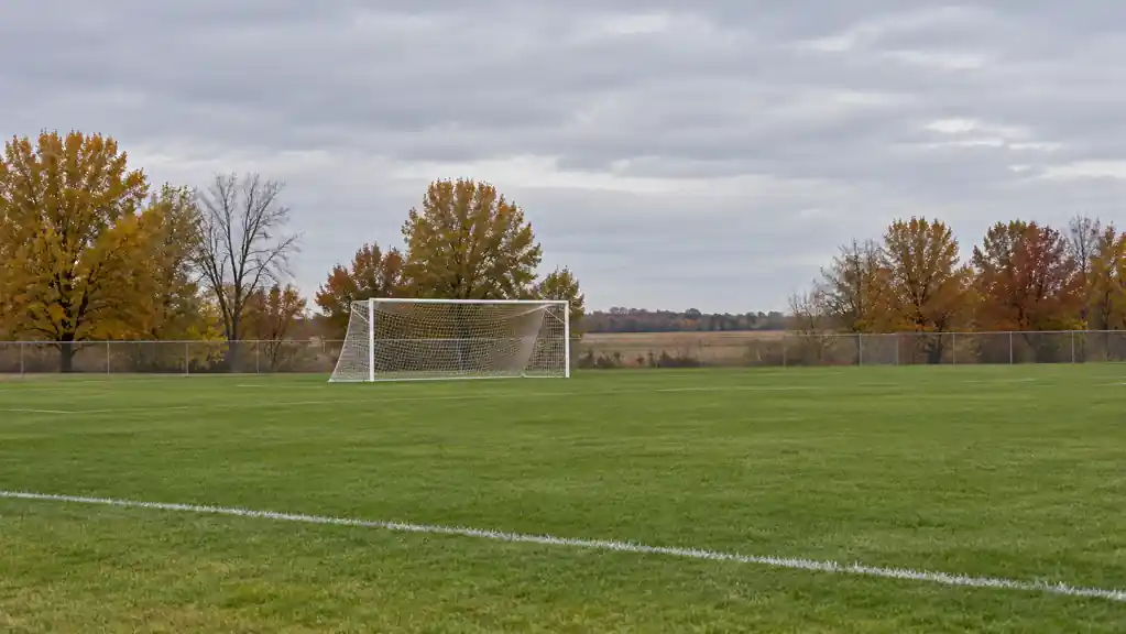Empty soccer field with a white goal, a perimeter fence and autumn trees